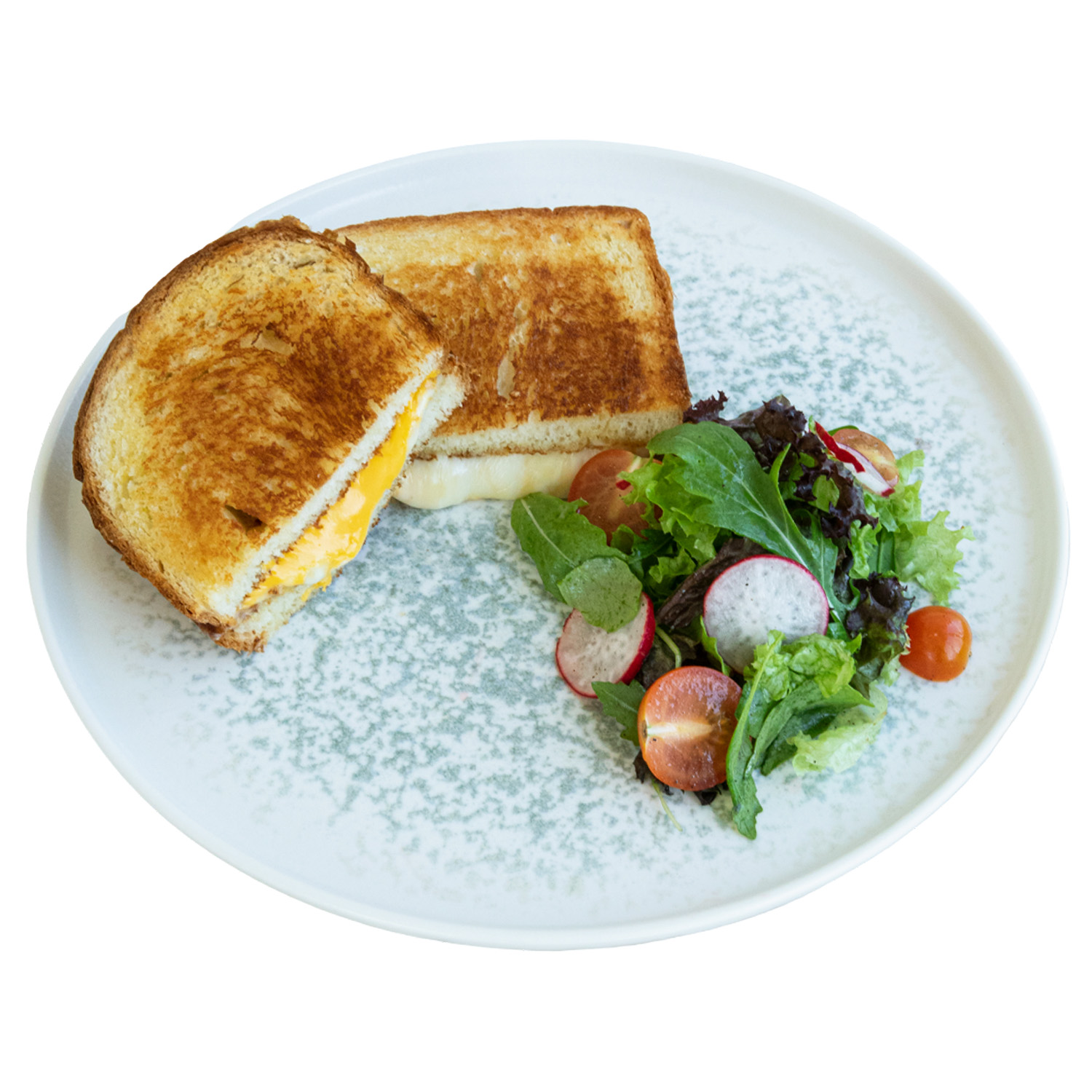 Cheese Sandwich